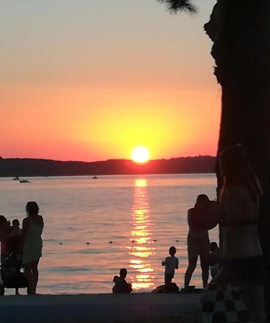 Lejlighed Apartman Sanda Pula